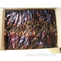 Dried Chili